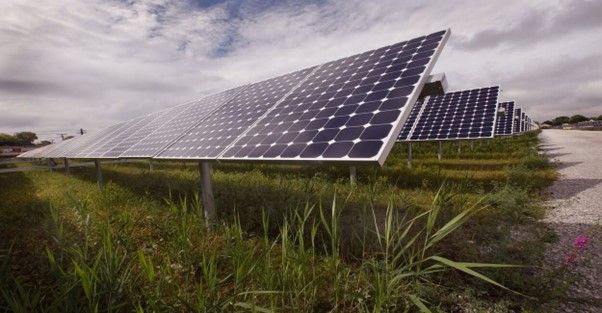 The Impact Of Solar Energy On Wildlife And Biodiversity